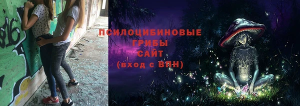 прущая мука Абаза