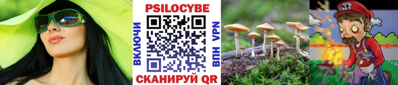 Галлюциногенные грибы мицелий  блэк спрут зеркало  Ладушкин 