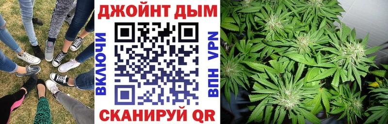 Каннабис план  закладка  Ладушкин 